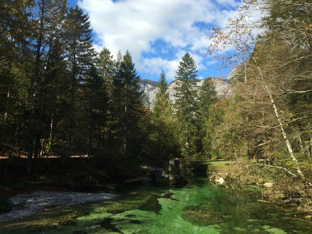 Apartments Ukanc Bohinj Eksteriør billede